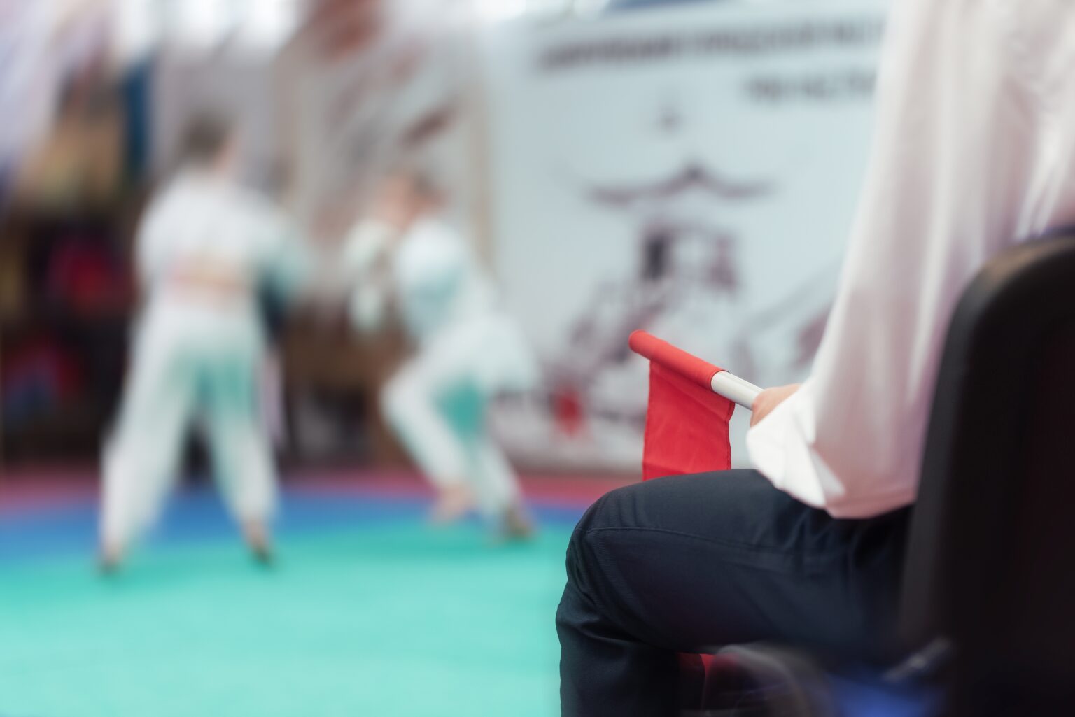 Grading British Judo Association